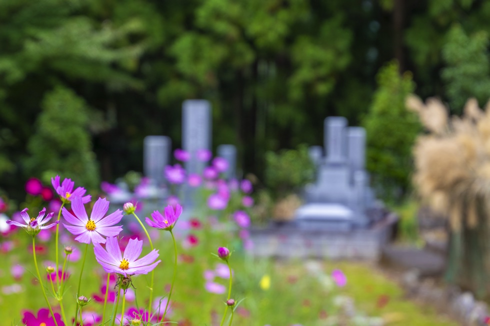 公営墓地・民営墓地・寺院墓地の違いについてのまとめ