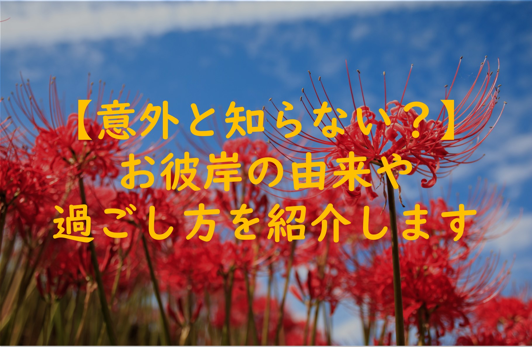 【意外と知らない？】お彼岸の由来や過ごし方を紹介します