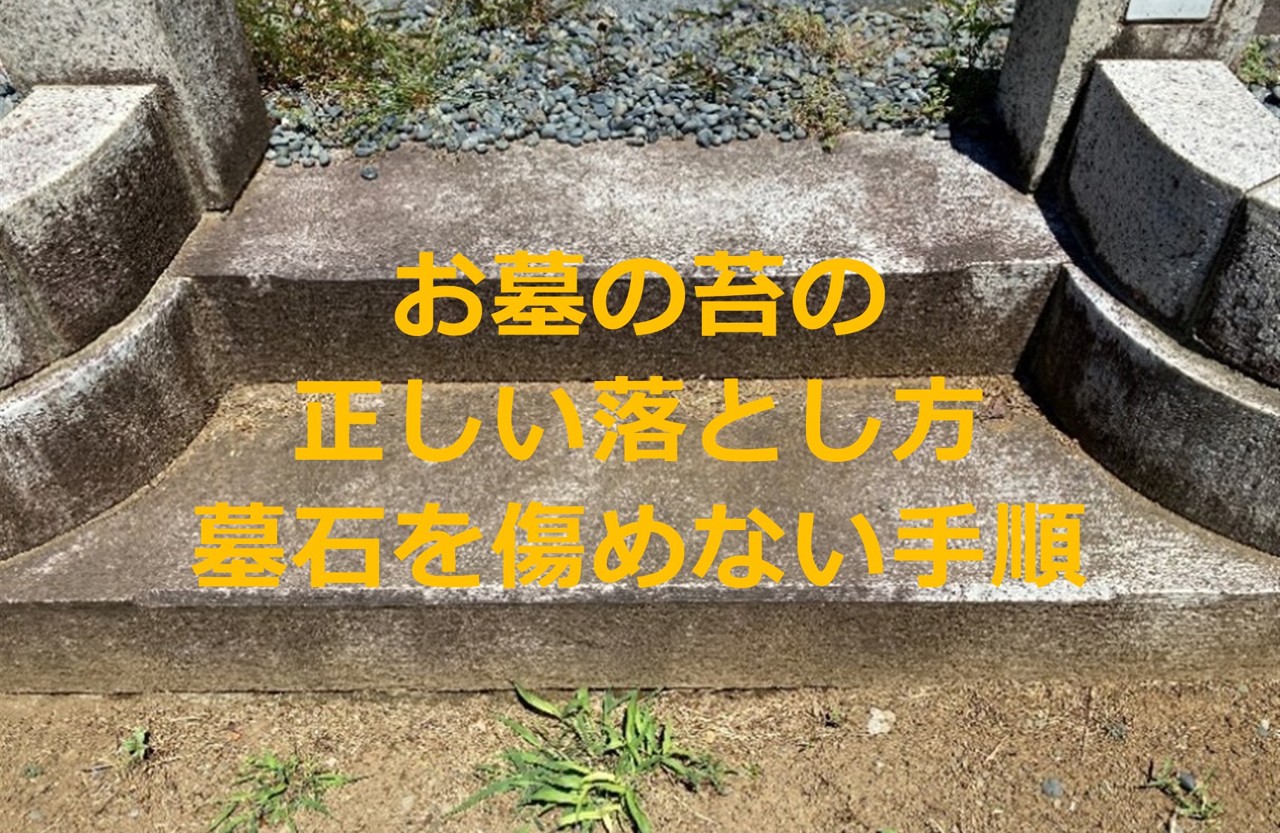 プロが実践するお墓の苔の落とし方｜墓石を傷めない正しい手順
